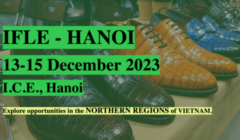 Shoes & Leather Hanoi